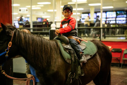 Pony Rides