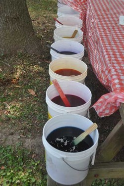 buckets of dye for Tie-Dye tees