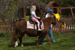 Petting Zoo Pony Ride