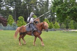 hippodrama equestrian performers