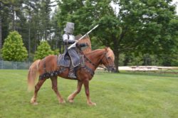 hippodrama equestrian performers