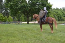 hippodrama equestrian performers