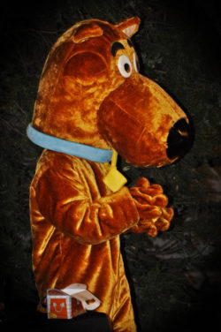 Mystery Dog Mascot