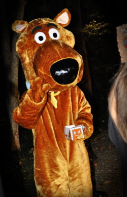 Mystery Dog Mascot