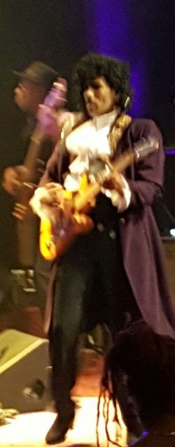 Prince Impersonator