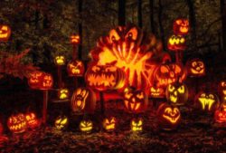 pumpkin carving food art